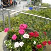 pfarrfest 2018 26